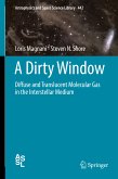 A Dirty Window (eBook, PDF)