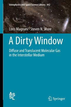 A Dirty Window (eBook, PDF) - Magnani, Loris; Shore, Steven N.