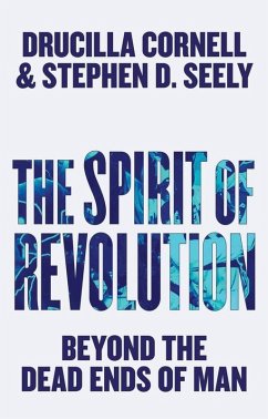 Cover The Spirit of Revolution (eBook, PDF)