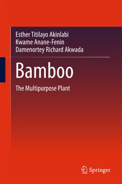 Bamboo (eBook, PDF) - Akinlabi, Esther Titilayo; Anane-Fenin, Kwame; Akwada, Damenortey Richard