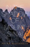 In The Shadow of Mount Sinai (eBook, PDF)