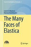 The Many Faces of Elastica (eBook, PDF)