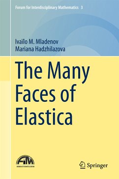 The Many Faces of Elastica (eBook, PDF) - Mladenov, Ivaïlo M.; Hadzhilazova, Mariana