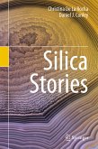 Silica Stories (eBook, PDF)