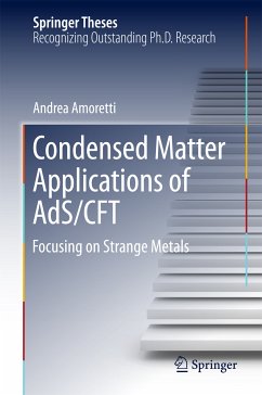 Condensed Matter Applications of AdS/CFT (eBook, PDF) - Amoretti, Andrea
