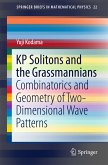 KP Solitons and the Grassmannians (eBook, PDF)
