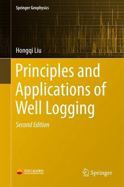 Principles and Applications of Well Logging (eBook, PDF) - Liu, Hongqi