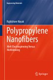 Polypropylene Nanofibers (eBook, PDF)