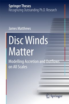 Disc Winds Matter (eBook, PDF) - Matthews, James