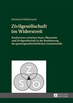 Zivilgesellschaft im Widerstreit (eBook, PDF) - Hildebrandt, Reinhard