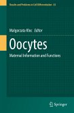 Oocytes (eBook, PDF)