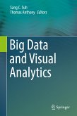 Big Data and Visual Analytics (eBook, PDF)