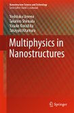 Multiphysics in Nanostructures (eBook, PDF)