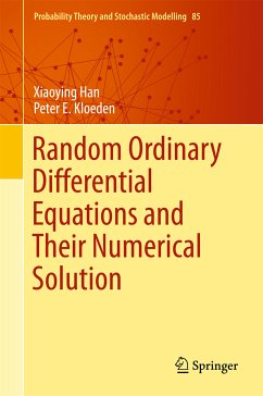 Random Ordinary Differential Equations and Their Numerical Solution (eBook, PDF) - Han, Xiaoying; Kloeden, Peter E.