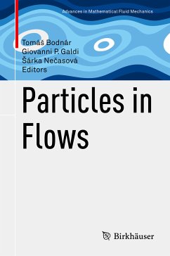 Particles in Flows (eBook, PDF)