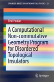 A Computational Non-commutative Geometry Program for Disordered Topological Insulators (eBook, PDF)