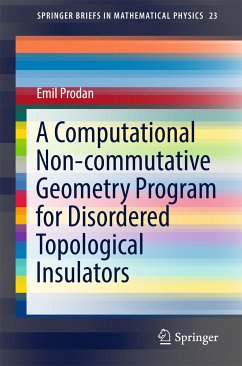 A Computational Non-commutative Geometry Program for Disordered Topological Insulators (eBook, PDF) - Prodan, Emil