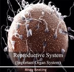 Reproductive System (Important Organ System) (eBook, PDF)