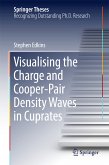 Visualising the Charge and Cooper-Pair Density Waves in Cuprates (eBook, PDF)