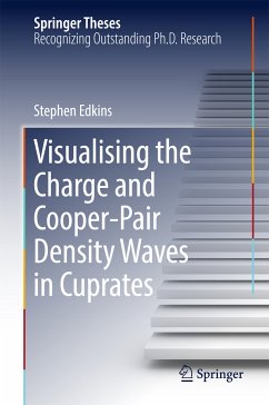 Visualising the Charge and Cooper-Pair Density Waves in Cuprates (eBook, PDF) - Edkins, Stephen