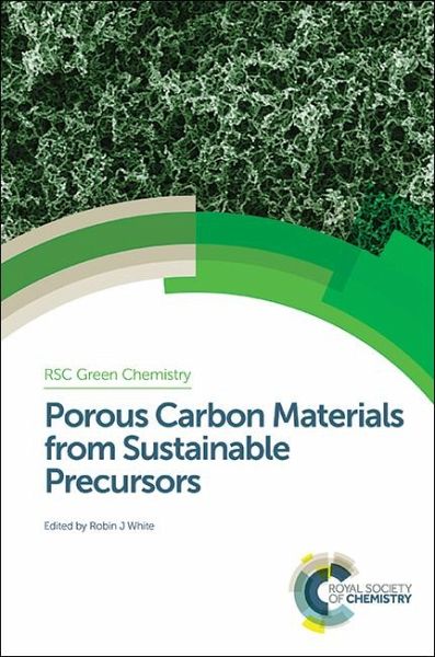 Porous Carbon Materials from Sustainable Precursors (eBook, PDF)