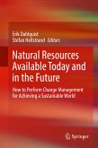 Natural Resources Available Today and in the Future (eBook, PDF)