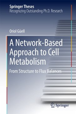 A Network-Based Approach to Cell Metabolism (eBook, PDF) - Güell, Oriol