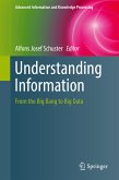 Understanding Information (eBook, PDF)