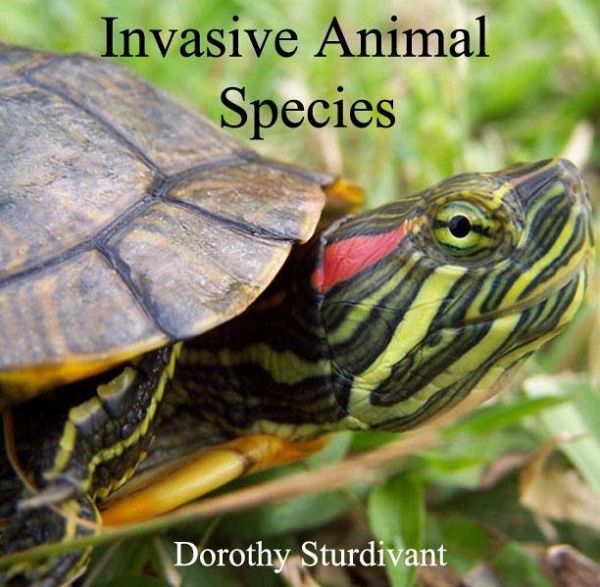 Invasive Animal Species (eBook, PDF) Invasive Animal Species (eBook, PDF)