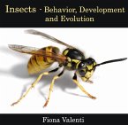 Insects - Behavior, Development and Evolution (eBook, PDF)