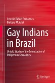 Gay Indians in Brazil (eBook, PDF)