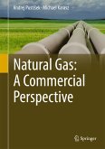 Natural Gas: A Commercial Perspective (eBook, PDF)