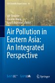 Air Pollution in Eastern Asia: An Integrated Perspective (eBook, PDF)