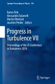 Progress in Turbulence VII (eBook, PDF)