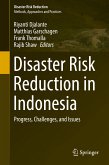 Disaster Risk Reduction in Indonesia (eBook, PDF)