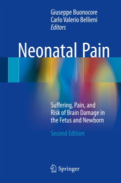 Neonatal Pain (eBook, PDF)