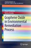 Graphene Oxide in Environmental Remediation Process (eBook, PDF)
