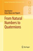 From Natural Numbers to Quaternions (eBook, PDF)