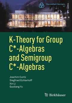 Cover K-Theory for Group C*-Algebras and Semigroup C*-Algebras (eBook, PDF)