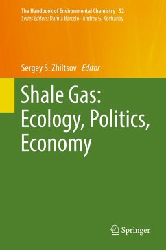 Shale Gas: Ecology, Politics, Economy (eBook, PDF)