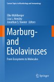 Marburg- and Ebolaviruses (eBook, PDF)
