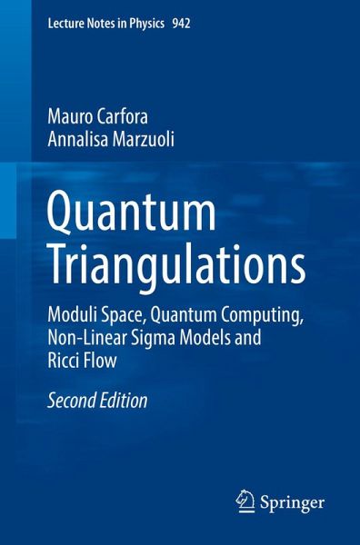 Quantum Triangulations (eBook, PDF)