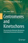 Centromeres and Kinetochores (eBook, PDF)