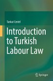 Introduction to Turkish Labour Law (eBook, PDF)