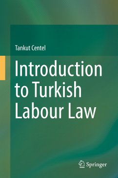Introduction to Turkish Labour Law (eBook, PDF) - Centel, Tankut