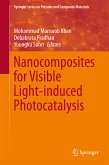 Nanocomposites for Visible Light-induced Photocatalysis (eBook, PDF)
