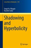 Shadowing and Hyperbolicity (eBook, PDF)
