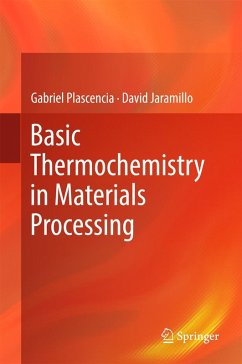Basic Thermochemistry in Materials Processing (eBook, PDF) - Plascencia, Gabriel; Jaramillo, David