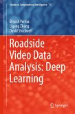 Roadside Video Data Analysis (eBook, PDF)