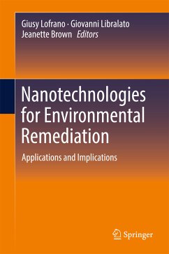 Nanotechnologies for Environmental Remediation (eBook, PDF)